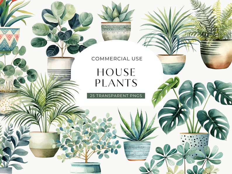 Clipart di piante da appartamento ad acquerello, DOWNLOAD DIGITALE, illustrazione di piante in vaso, grafica botanica verde, uso commerciale di cactus succulenti PNG immagine 1