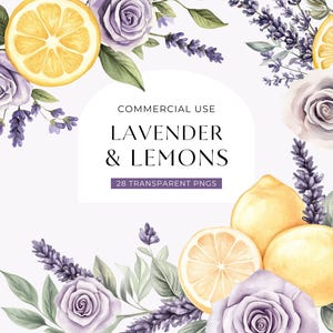 Clipart lavendel en citroenen, digitale DOWNLOAD, babyshower illustraties, aquarel citroen, paars roze bloem, citrus bloemen commercieel gebruik, png