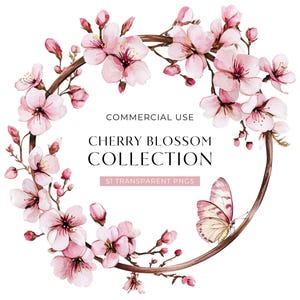 Clipart kersenbloesem, aquarel sakurabloem illustraties, roze bloemen krans kaartafbeeldingen, Japanse lentetakken, Japanse lentetakken, digitale DOWNLOAD png