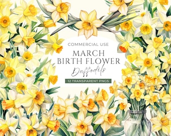Watercolor Daffodil Clipart, DIGITAL DOWNLOAD, Yellow Floral Bouquets, March Birth Month Flower Clip Art, Spring Wreath Commercial Use PNG
