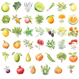 Watercolor Gardening Clipart, DIGITAL DOWNLOAD, Permaculture Garden, Fruit Vegetable Flower Illustrations, Food Commercial Use PNG Graphics image 4