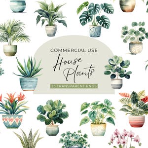 Aquarel kamerplant clipart, digitale DOWNLOAD, potplant illustratie, groen botanische afbeelding, sappige cactus commercieel gebruik, png
