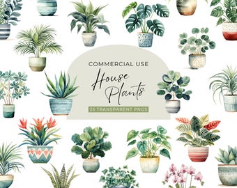 Watercolor House Plant Clipart, DIGITAL DOWNLOAD, Potted Plant Illustration, Greenery Botanical Graphic, Succulent Cactus Commercial Use PNG