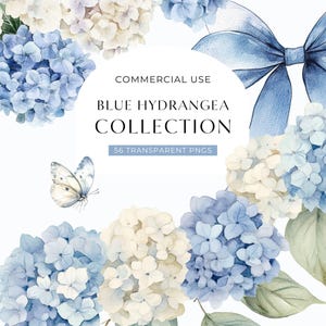 May include: A digital collection of watercolor blue and cream hydrangea flower clusters, green leaves, a blue ribbon bow, and a butterfly. The central text reads COMMERCIAL USE BLUE HYDRANGEA COLLECTION 56 TRANSPARENT PNGS.