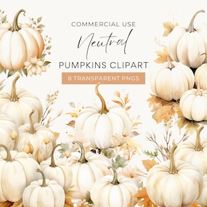White Pumpkin Clipart, DIGITAL DOWNLOAD, Pumpkin Clipart Baby Shower, Watercolor Boho Floral Flower Pumpkins, Fall Autumn Commercial Use PNG