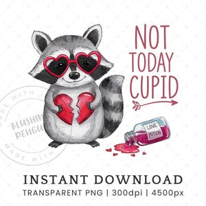 Mapache No Hoy Cupido PNG, Diseño Divertido De Sublimación Anti Día De San Valentín, Camiseta Sarcástica Divertida De San Valentín PNG, Lindo Mapache Salvaje De San Valentín PNG