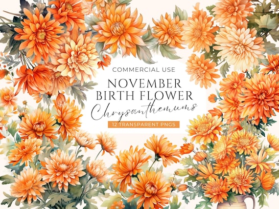 Birth Month Floral Clipart November Bundle, DIGITAL DOWNLOAD, Chrysanthemum Clip Art Pack, Watercolor Flower Bouquet Set, Commercial Use PNG