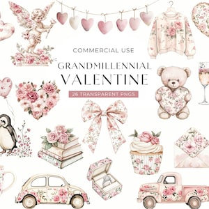 Grandmillennial Valentine clipart, roze aquarel toile de jouy-illustraties, vintage bloemen chinoiserie commercieel gebruik png, digitale download