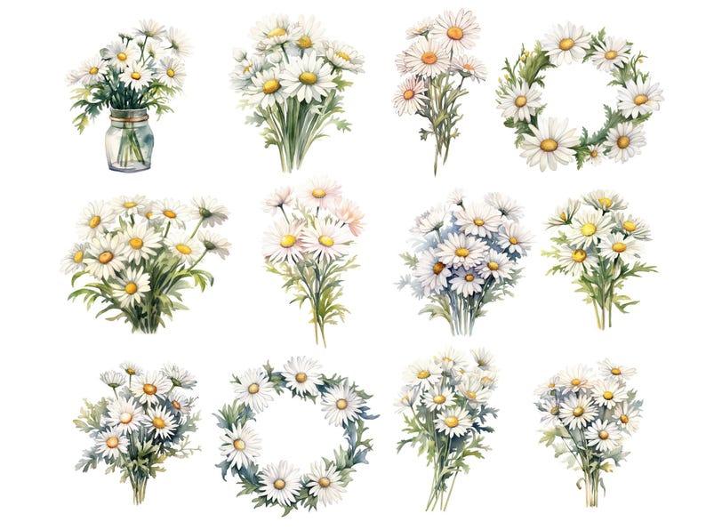 Daisy Birth Flower Clipart, DIGITAL DOWNLOAD, April Birth Month Clip Art, Watercolor Birthday Bouquet, Spring Daisies Commercial Use PNG image 2