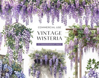 Wisteria Clipart, Purple Flower Clip Art, DIGITAL DOWNLOAD, Watercolor Florals, Junk Journal Graphic, Wedding Invitation Commercial Use PNG