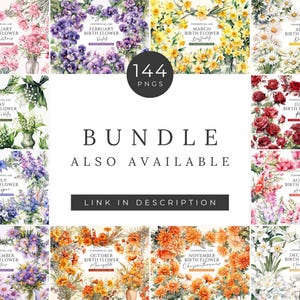Bundle de cliparts floraux mois de naissance novembre, téléchargement numérique, pack de clipart chrysanthèmes, ensemble de bouquet de fleurs aquarelle, usage commercial PNG image 5