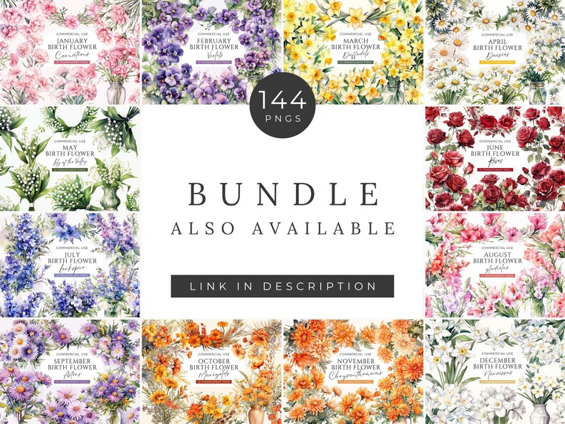 Bundle de cliparts floraux mois de naissance novembre, téléchargement numérique, pack de clipart chrysanthèmes, ensemble de bouquet de fleurs aquarelle, usage commercial PNG image 5