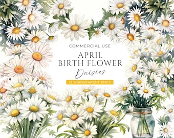 Daisy Birth Flower Clipart, DIGITAL DOWNLOAD, April Birth Month Clip Art, Watercolor Birthday Bouquet, Spring Daisies Commercial Use PNG