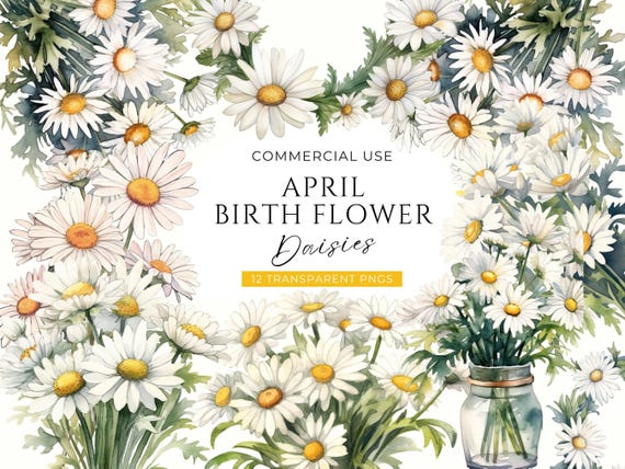 Daisy Birth Flower Clipart, DIGITAL DOWNLOAD, April Birth Month Clip Art, Watercolor Birthday Bouquet, Spring Daisies Commercial Use PNG