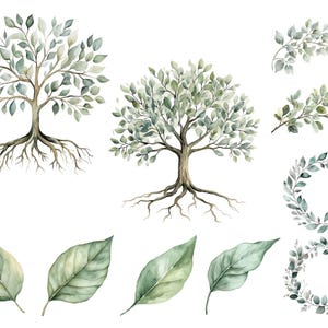 Green Watercolor Tree With Roots Clipart, Tree of Life Clip Art, Summer Branches & Leaves, Family Tree Commercial Use PNG, DIGITAL DOWNLOAD image 2