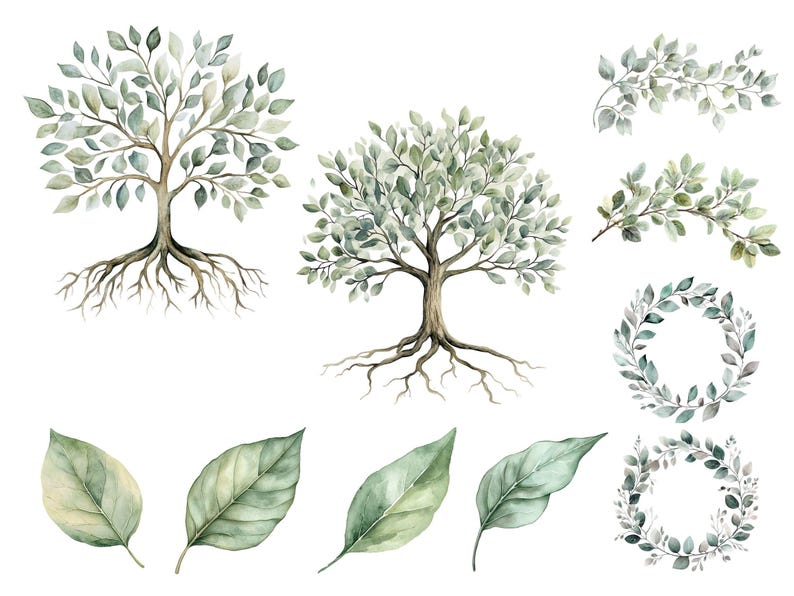 Green Watercolor Tree With Roots Clipart, Tree of Life Clip Art, Summer Branches & Leaves, Family Tree Commercial Use PNG, DIGITAL DOWNLOAD image 2