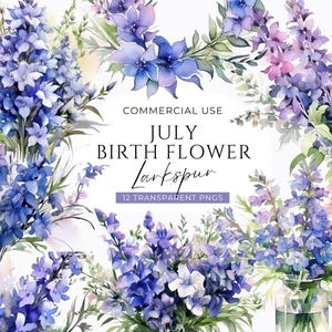 Naissance mois fleurs juillet Clipart Bundle, téléchargement numérique, pack de clip art pied-d'alouette, ensemble de graphiques fleurs violettes, usage commercial PNG