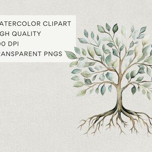 Green Watercolor Tree With Roots Clipart, Tree of Life Clip Art, Summer Branches & Leaves, Family Tree Commercial Use PNG, DIGITAL DOWNLOAD image 3