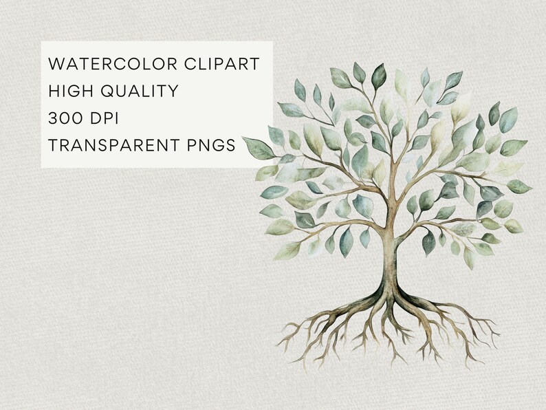 Green Watercolor Tree With Roots Clipart, Tree of Life Clip Art, Summer Branches & Leaves, Family Tree Commercial Use PNG, DIGITAL DOWNLOAD image 3