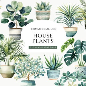 Watercolor House Plant Clipart, DIGITAL DOWNLOAD, Potted Plant Illustration, Greenery Botanical Graphic, Succulent Cactus Commercial Use PNG