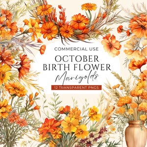 Geboortemaand bloem clipart oktober bundel, digitale DOWNLOAD, goudsbloem Clip Art Pack, herfst aquarel bloemen afbeeldingenset, commercieel gebruik, png