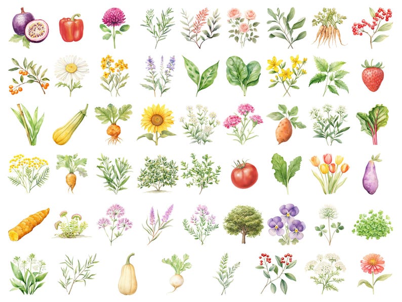 Watercolor Gardening Clipart, DIGITAL DOWNLOAD, Permaculture Garden, Fruit Vegetable Flower Illustrations, Food Commercial Use PNG Graphics image 5