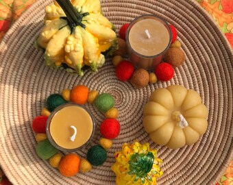 Acorns, Mushrooms, Fall