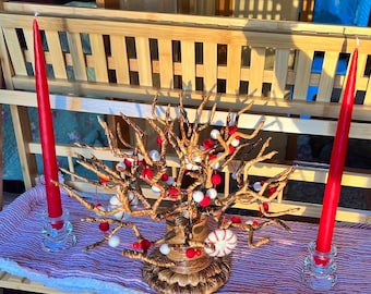Peppermint Baobab Tree, small decorated tree, holiday tree, Christmas tree, ecofriendly holiday, ecofriendly Christmas