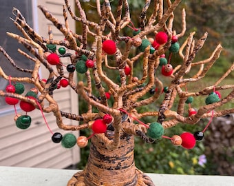 Seasonal Baobab Trees
