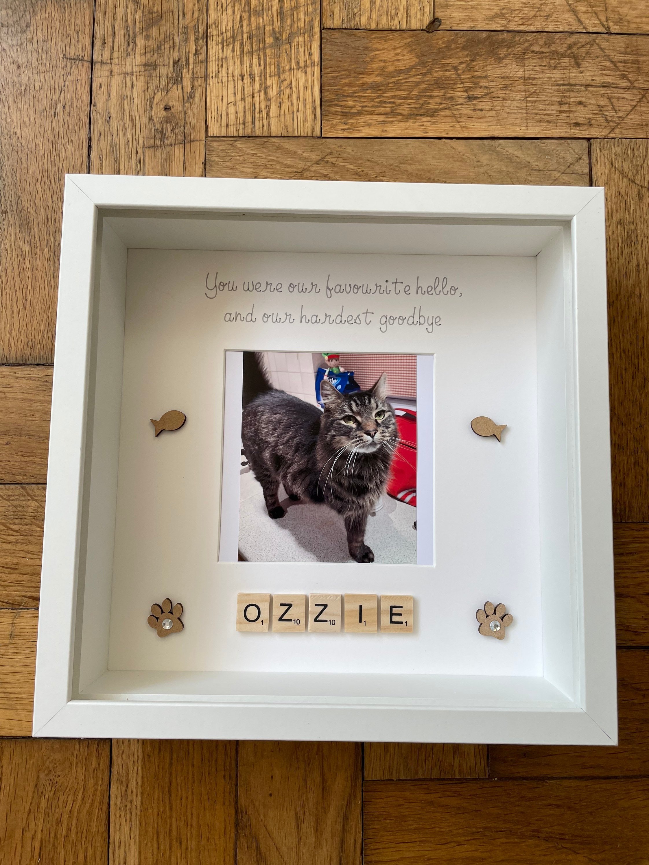 Pet Memorial Frame Cat Memorial Frame Pet Memorial Gift Cat Etsy