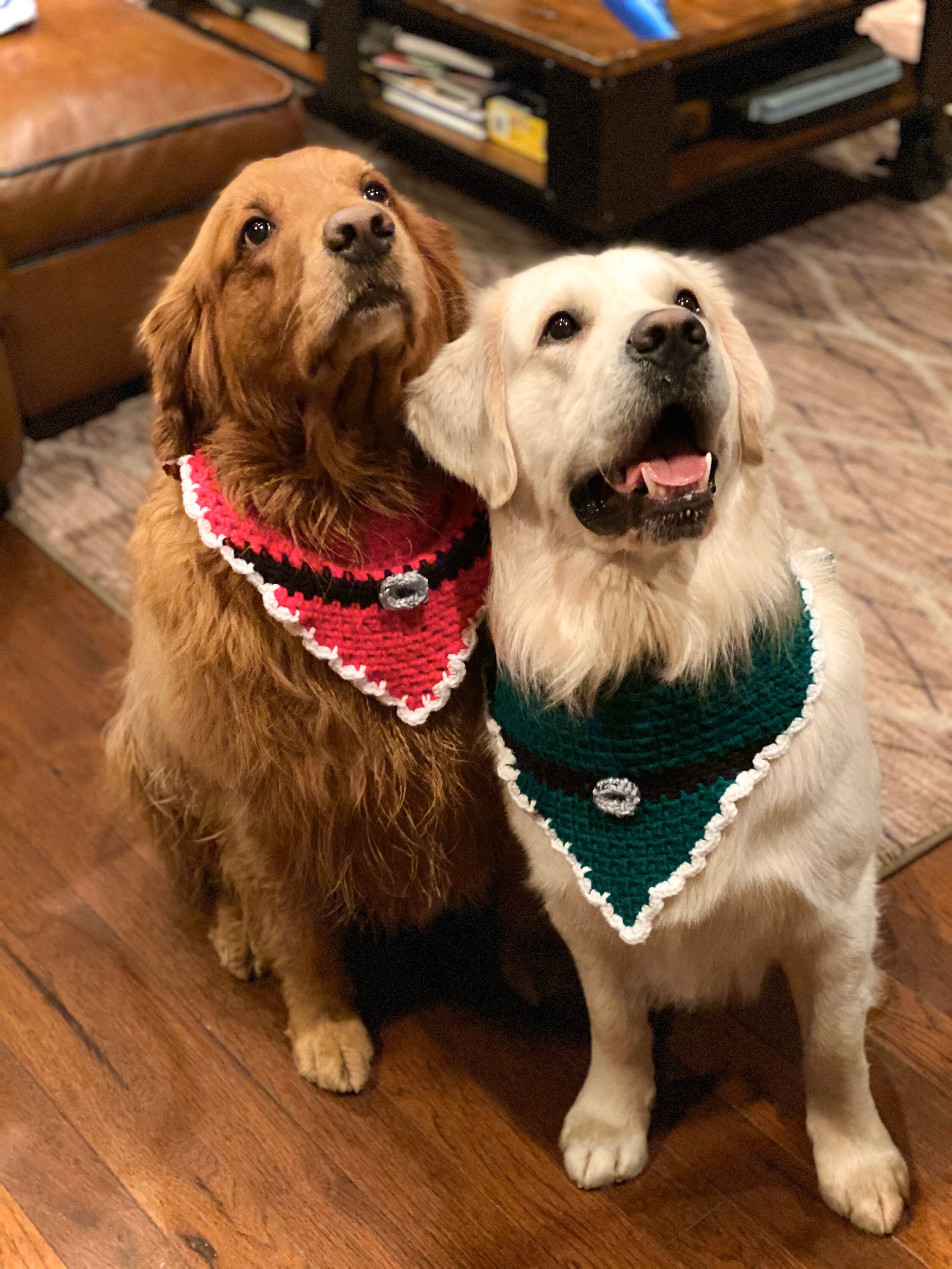 crochet bandana for dogs