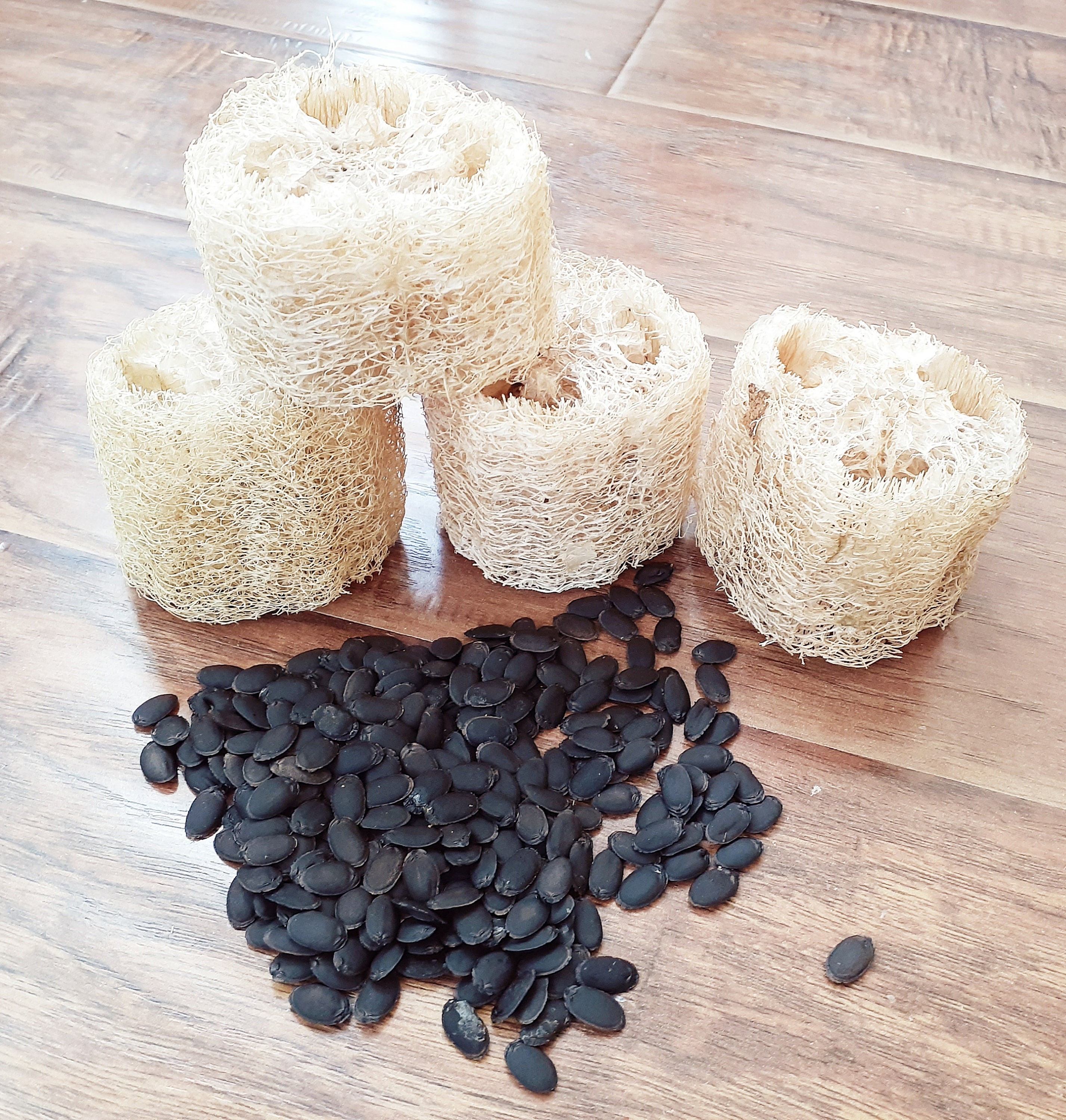 40 Organic Loofah Seeds All Naturally Grown for Dish wash Etsy