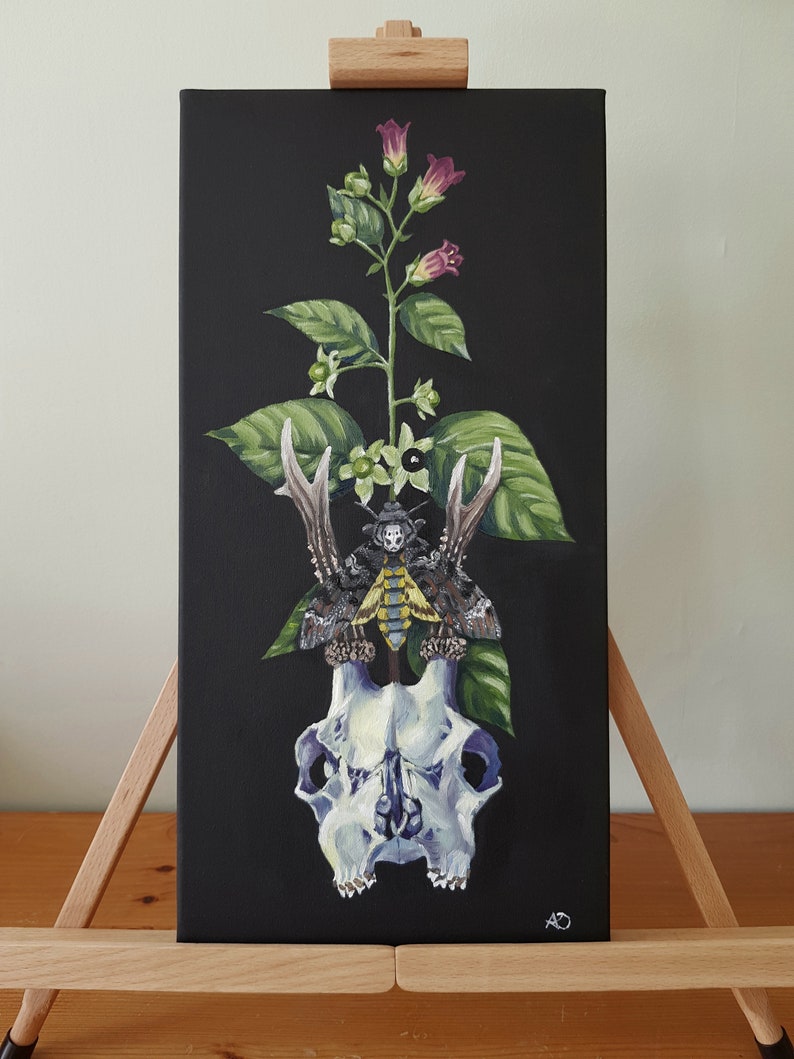 Deer Skull Deadly Nightshade Death/'s Head Moth Original Giclee Print