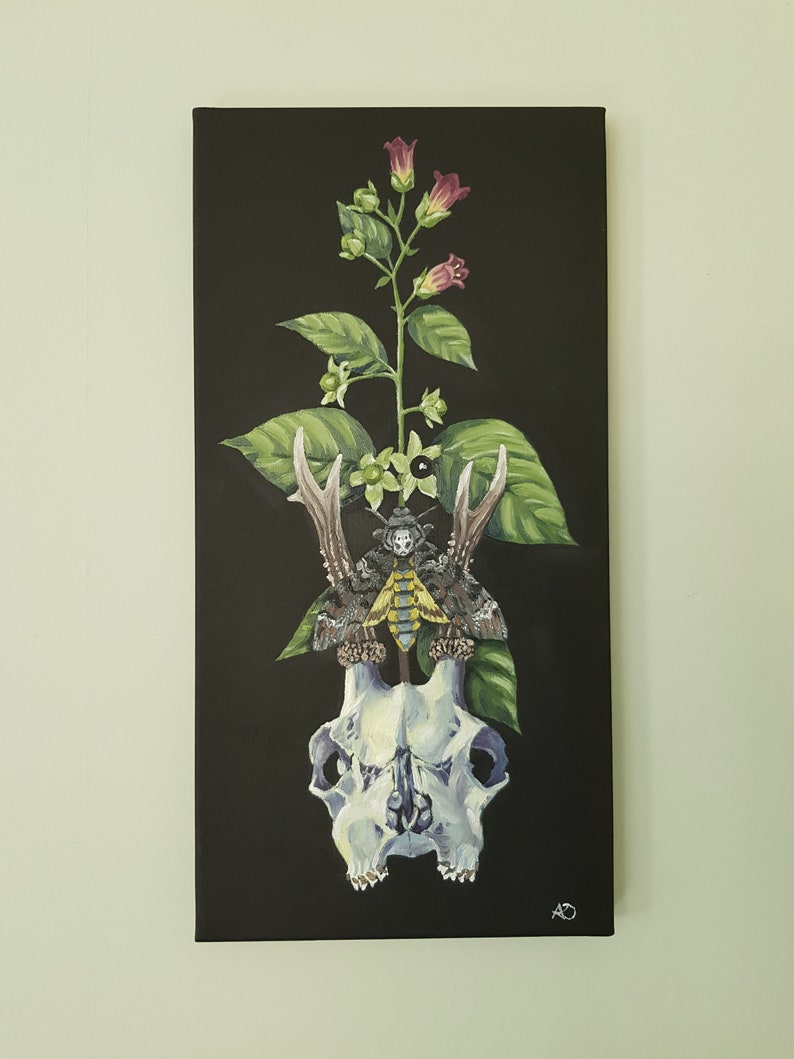Deer Skull Deadly Nightshade Death/'s Head Moth Original Giclee Print