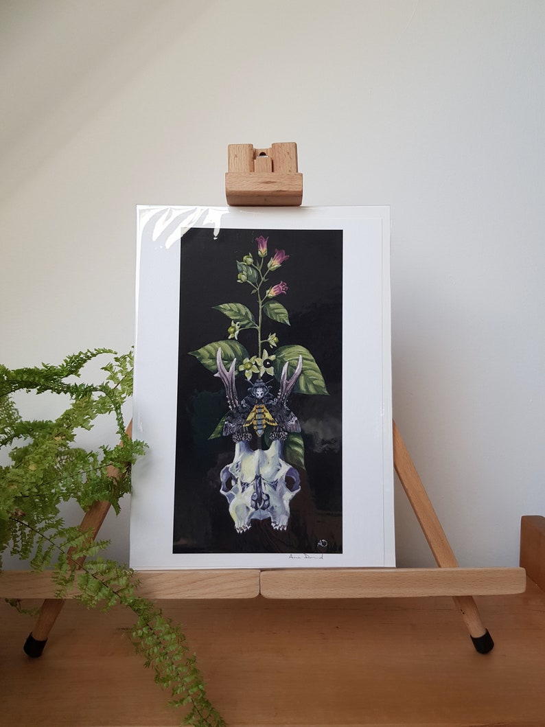 Deer Skull Deadly Nightshade Death/'s Head Moth Original Giclee Print