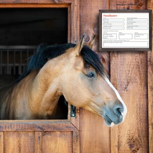 May include: A tan horse with a black mane and white markings on its face, peeks out from a wooden stable. A framed sign with the name "Sundance" and other details hangs on the wooden wall.