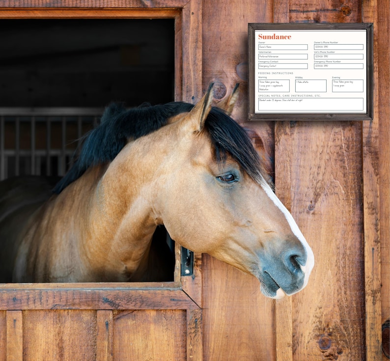 May include: A tan horse with a black mane and white markings on its face, peeks out from a wooden stable. A framed sign with the name "Sundance" and other details hangs on the wooden wall.