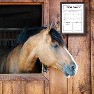 May include: A tan horse with a black mane and white facial markings peeks out of a wooden stable. A framed sign with the words "Horse Name" and feeding instructions hangs on the wooden wall.