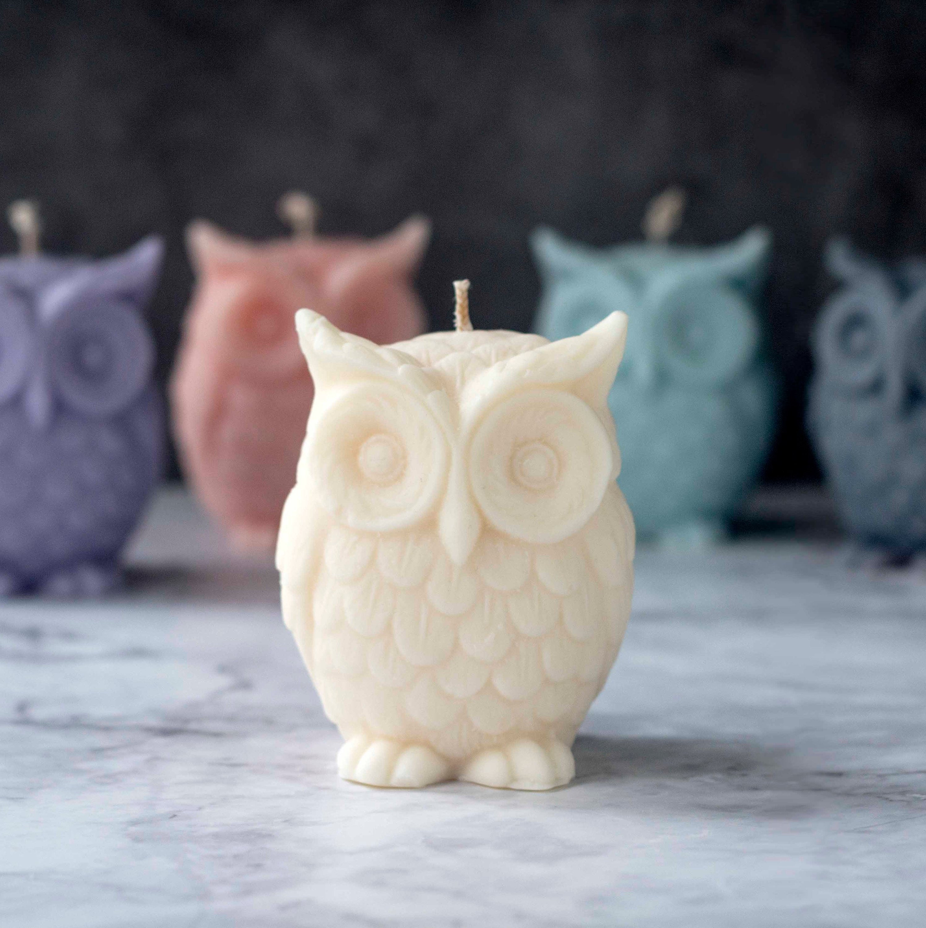 NORDIC OWL CANDLE 8oz Scented Soy Wax Candle Design Candle Etsy