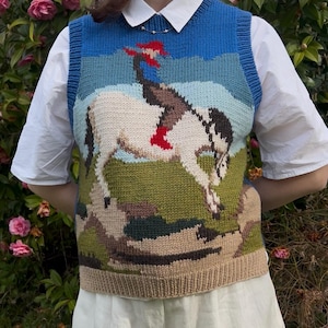 May include: A blue, green, and tan knitted vest featuring a horse and rider design. The vest has a white collar and is worn over a white shirt and shorts. The background includes pink flowers and green foliage.