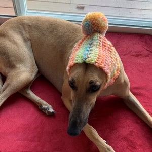 Pom Pom Color Blend Snood for Greyhounds