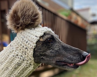 greyhound snood australia
