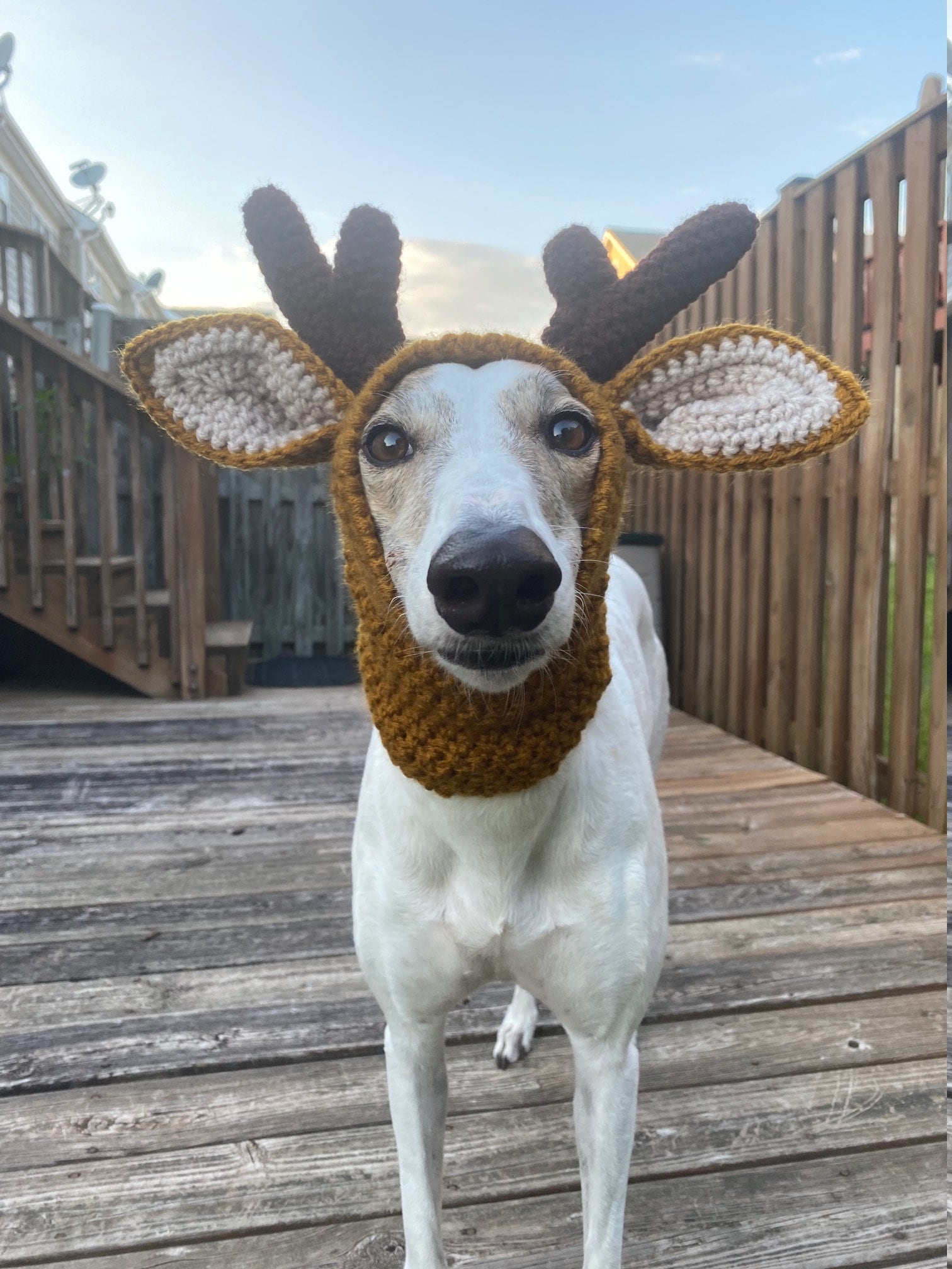 Oh How Deer! Warm and comfy reindeer snood for your greyhound