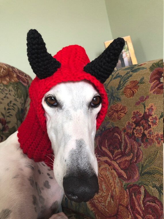 greyhound snood australia