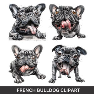 Lustige schwarze französische Bulldogge Clipart Frenchie Mom PNG, Französische Bulldogge Clipart für POD, Print On Demand, Sublimationsdesigns