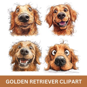 Paquete de imágenes prediseñadas divertidas de Golden Retriever, regalos para Golden Retriever, diseños de sublimación con impresión POD bajo demanda
