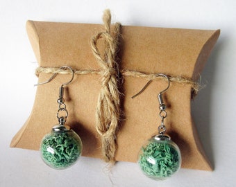 May include: A pair of earrings with green moss encased in clear glass spheres. The earrings are suspended from silver hooks and are displayed on a brown paper cushion.