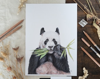 Bamboozled A4 Giant Panda Print | | d’impression d’art animalier | d’art de pépinière Décoration intérieure | Imprimé animal
