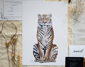 Sitting Tiger Print | Wildlife Illustration Prints |  Tiger Illustration | A4 Unmounted prtint | Wall Art