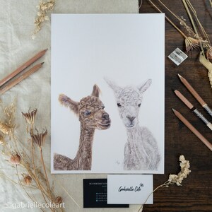 Alpaca Animal A4 Art Print | Nuzzle And Scratch Alpacas | Illustration Animal Print | Nursery Print | Wildlife Print